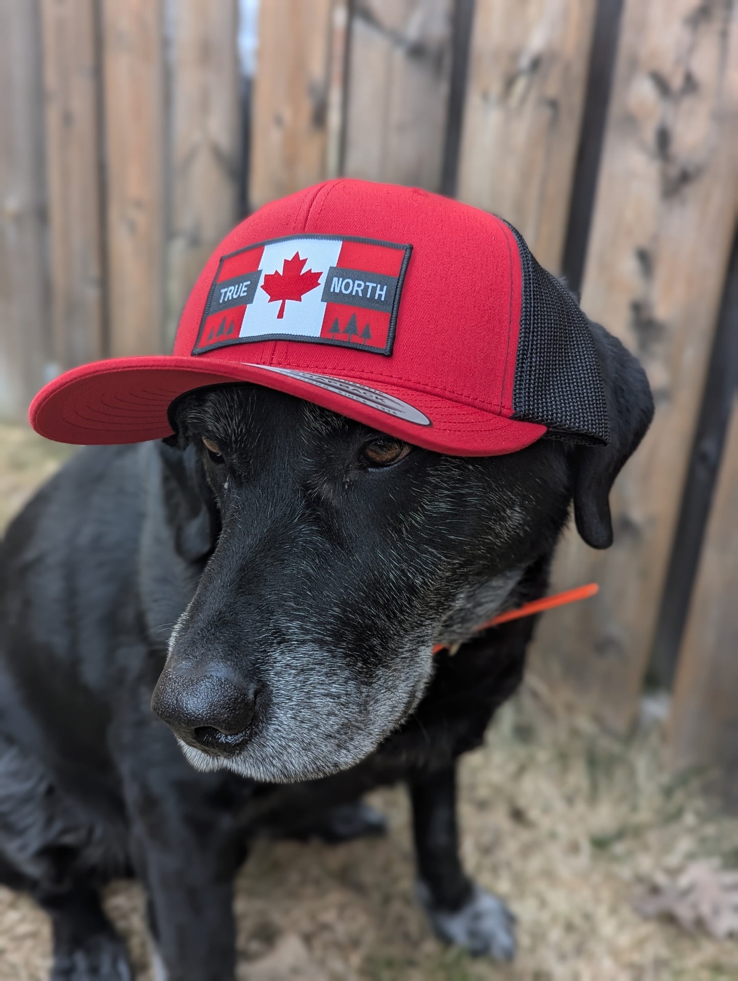 True North Hat
